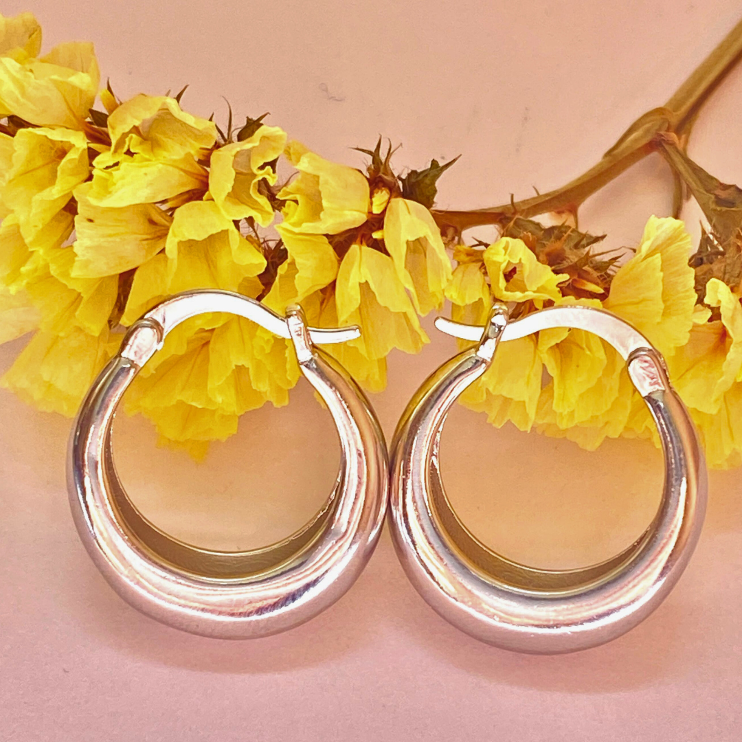 Aretes Puro Brillo