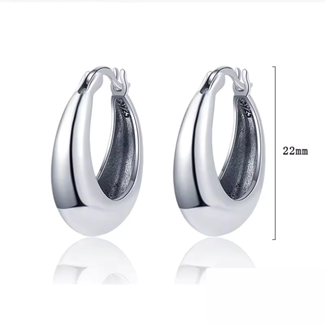Aretes Puro Brillo
