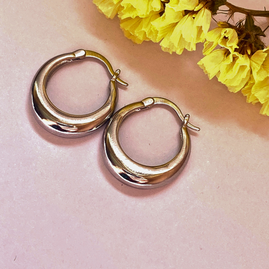 Aretes Puro Brillo